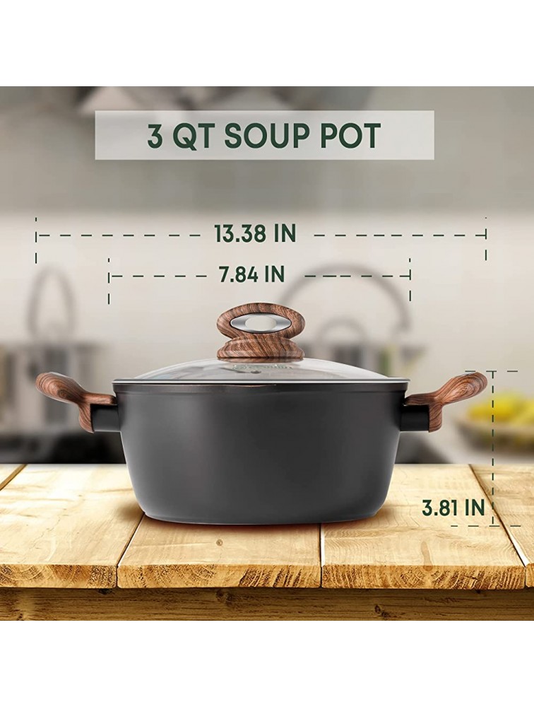 Ecowin Stock Pot with Lid 3 Quart Nonstick Cooking Soup Pasta Pot Granite Coating with Pour Spout Stockpot Casserole Stone Cookware Free of PFOA PTFE Keep Cool Handle Easy to Clean - B8GCHBAJQ