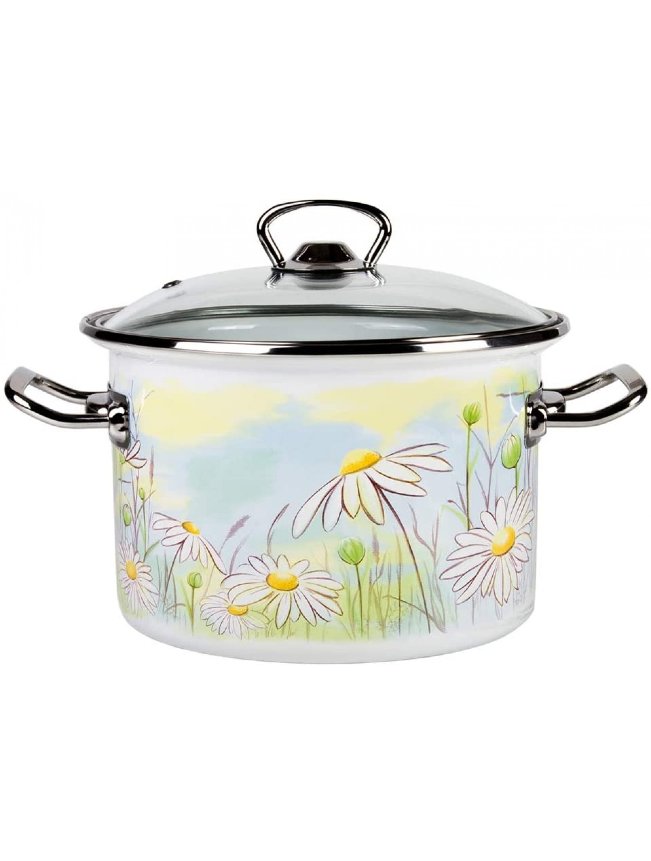 Enamel Stock Pot Daisy Fields Enamel Cooking Pot Enameled Pot with Lid 5.8-qt. 5.5 L - BU5JVXYP9