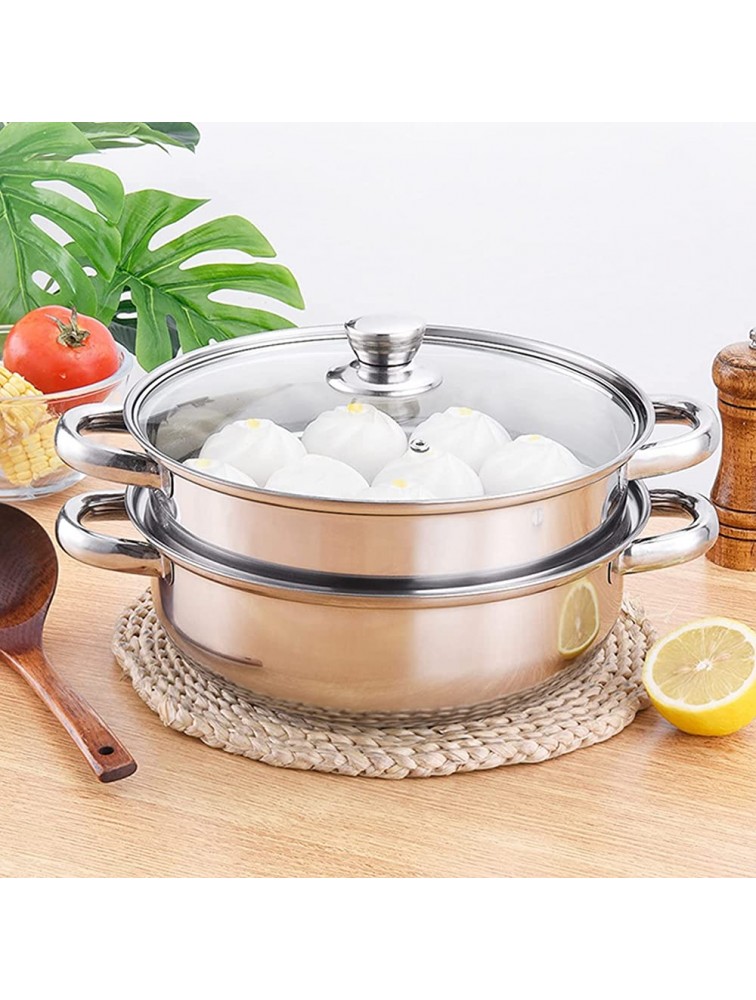 2 Piece Stainless Steel Steamer Pot Set with Glass Lid and handle,for Steamer Cooking,Casserole,Saucepan 2 layer - B5UBKKRZB