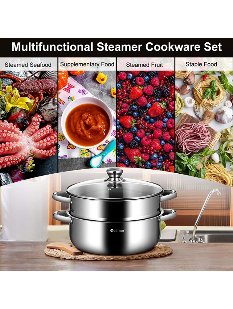COSTWAY 2-Tier Stainless Steel Steamer 11-Inch Multi-Layer Boiler Pot with Handles on Both Sides Cookware Pot with Tempered Glass Lid Work with Gas Electric Grill Stove Top Dishwasher Safe - B928MLANG