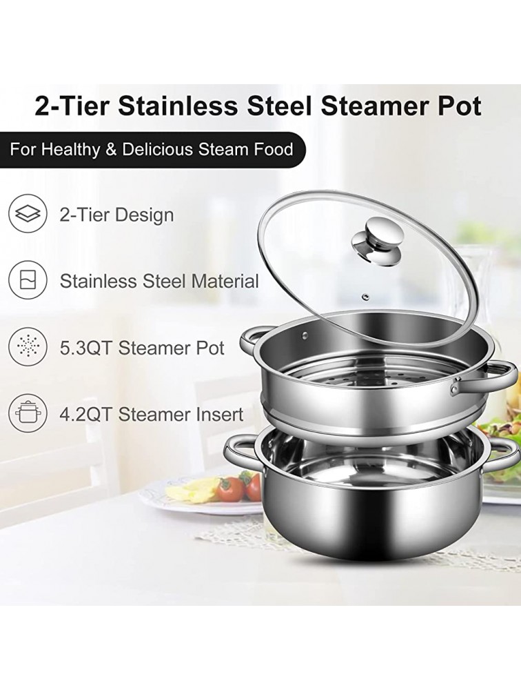PETSITE 2-Tier Stainless Steel Steamer Pot 5.3 Quart Stockpot 4.2 Quart Steamer Basket & Tempered Glass Lid Steaming Cookware Oven & Dishwasher Safe - B14H0JP46