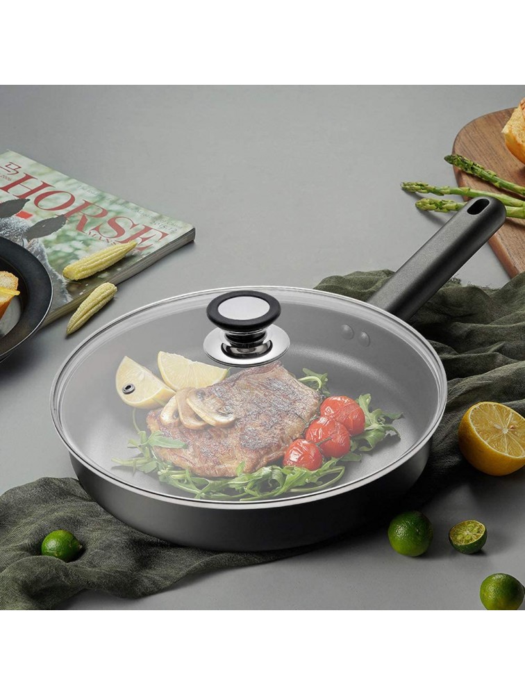 Tempered Glass Lid with Heat Resistant Handle,9.5 24cm Clear - BOHH7LNAO