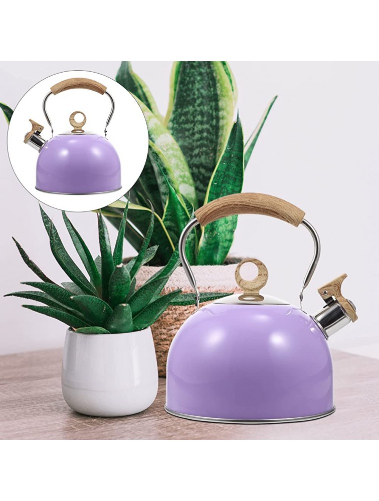 OSALADI Stainless Steel Whistling Tea Kettle: Teapot Water Stovetop Tea Kettle Stove Top Boiling Teapot Coffee Pot with Handle for Household Purple - BW93BFEJ6