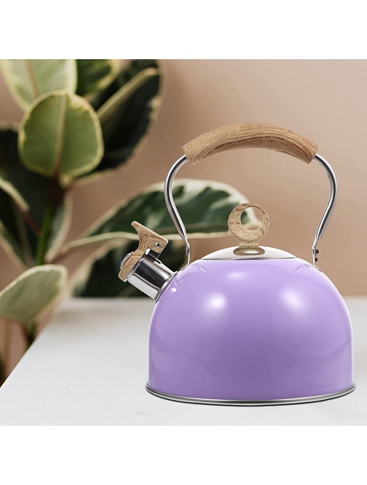 OSALADI Stainless Steel Whistling Tea Kettle: Teapot Water Stovetop Tea Kettle Stove Top Boiling Teapot Coffee Pot with Handle for Household Purple - BW93BFEJ6
