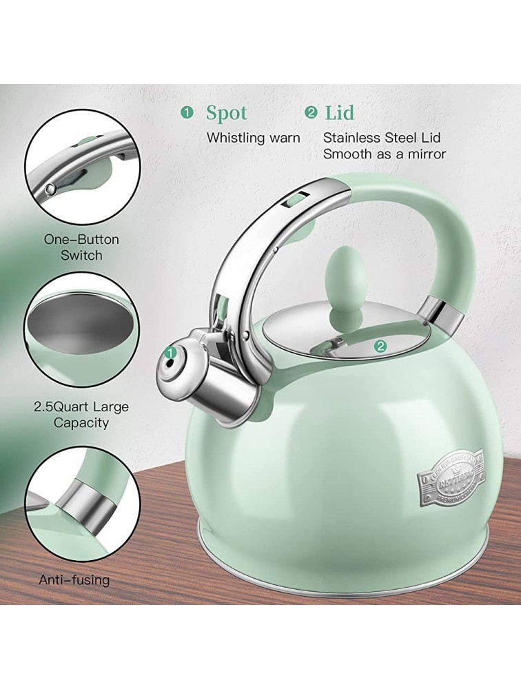 RETTBERG Tea Kettle for Stovetop Whistling Tea Kettles Modern Green Stainless Steel Teapots 2.64 Quart Mint Green - BNPYYYCGG