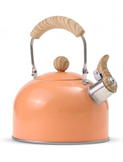 ROCKURWOK Tea Kettle Stovetop Whistling Teapot Stainless Steel Honeydew 2.43-Quart - B6QQF7H0D