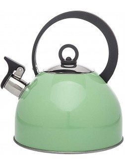 Studio Hot Water Tea Kettle Stainless Steel Tea Pot with Whistle 2.5L Mint - B7BNININQ