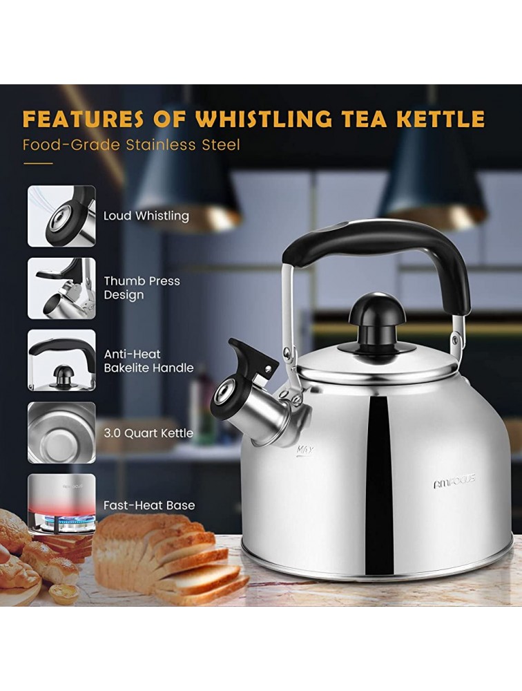 Tea Kettle Stovetop Whistling Teapot Stainless Steel Tea Pots for All Stovetop With Ergonomic Handle 3 Quart Whistling Teapot - B5ZVL0GCZ