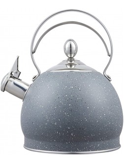 Teapot Whistling Tea Kettle with Metal Handle Loud Whistle,Food Grade Stainless Steel Tea Pot for Stovetops Water KettleGray - B5HET6BP6